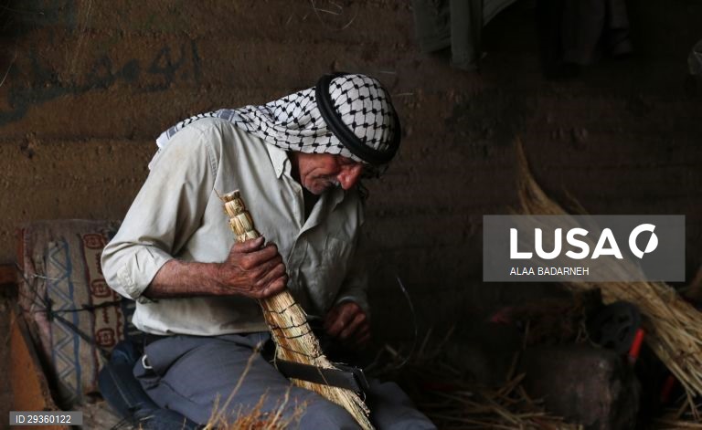 Cisjordânia: Fabrico artesanal de vassouras em Nablus