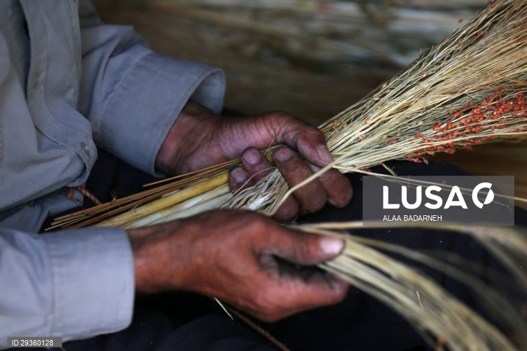 Cisjordânia: Fabrico artesanal de vassouras em Nablus