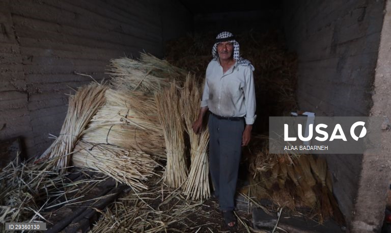 Cisjordânia: Fabrico artesanal de vassouras em Nablus