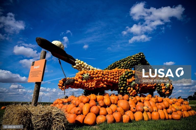 Alemanha: Festival da Abóbora em Mechernich