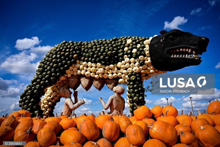 Alemanha: Festival da Abóbora em Mechernich