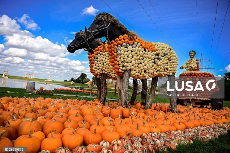 Alemanha: Festival da Abóbora em Mechernich