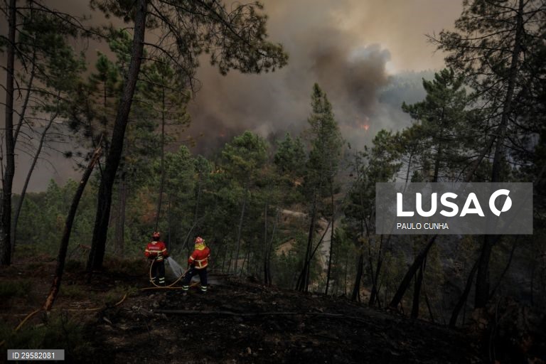 Incêndio em Oleiros