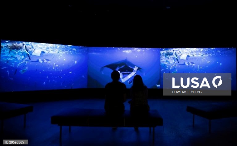 Exposição no Museu ArtScience em Singapura "Planeta ou Plástico?" 