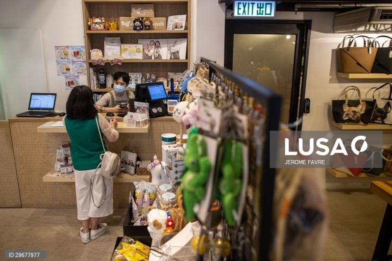 A instalação de cuidados para animais de estimação de Hong Kong