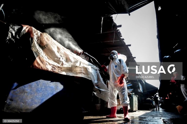 Desinfeção do maior mercado de Banguecoque após vendedores terem testado positivo à covid-19