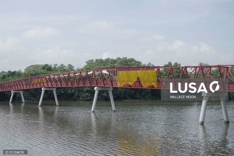 Arte urbana em Singapura