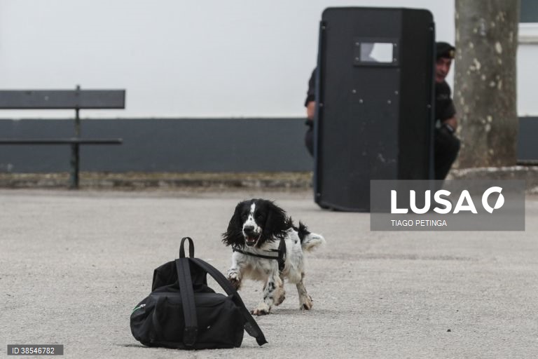 Aniversário da Unidade de Intervenção da GNR