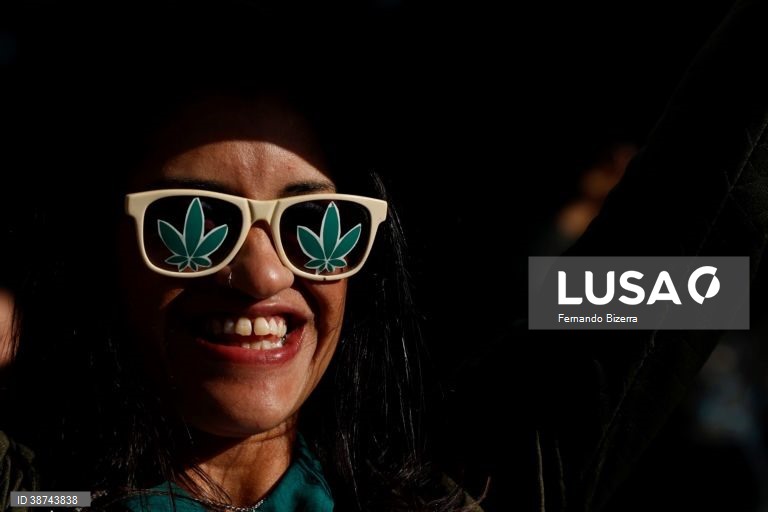 Brasil: Marcha em São Paulo pela legalização da canabis