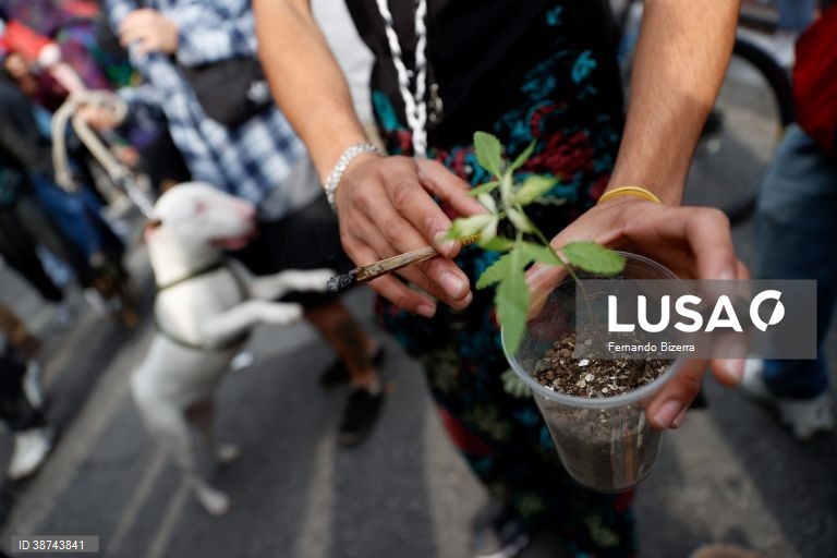 Brasil: Marcha em São Paulo pela legalização da canabis