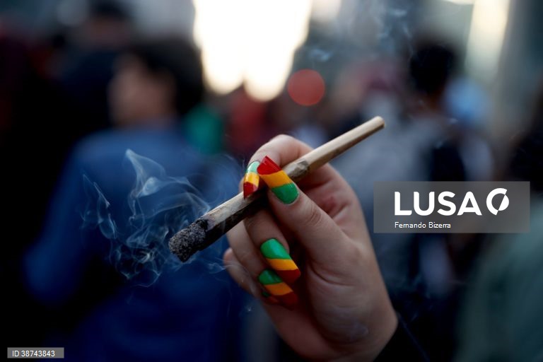 Brasil: Marcha em São Paulo pela legalização da canabis