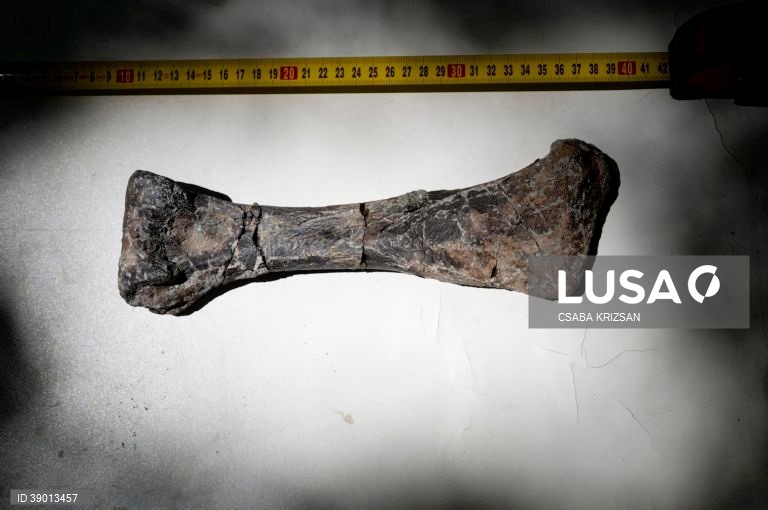 Hungria: escavações arqueológicas nas Montanhas Bakony