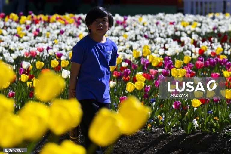 Exposição de flores Floriade 2022 em Camberra, Austrália
