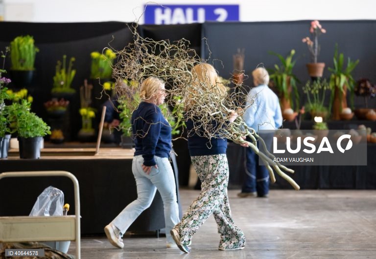 Reino Unido: Feira das Flores em Harrogate