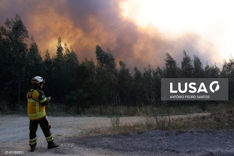 Um incêndio que deflagrou pelas 13:51 na localidade de Espinheira, na base da Serra de Montejunto, e está a consumir uma zona de eucaliptos e pinheiros, Cadaval, Lisboa, 12 de julho de 2023. Segundo informação disponível na página da Proteção Civil, pelas 19:15 estavam no local 389 operacionais, apoiados por 110 viaturas e 10 meios aéreos. ANTÓNIO PEDRO SANTOS/LUSA