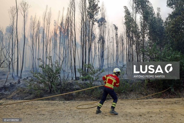 Um bombeiro combate um incêndio que deflagrou pelas 13:51 na localidade de Espinheira, na base da Serra de Montejunto, e está a consumir uma zona de eucaliptos e pinheiros, Cadaval, Lisboa, 12 de julho de 2023. Segundo informação disponível na página da Proteção Civil, pelas 19:45 estavam no local 487 operacionais, apoiados por 139 viaturas e 08 meios aéreos. ANTÓNIO PEDRO SANTOS/LUSA