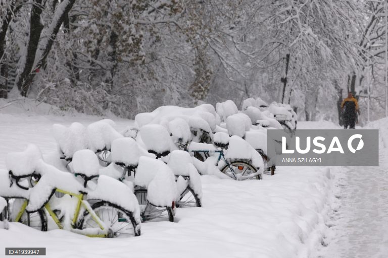 Neve em Munique, Alemanha. Segundo a Deutsche Bahn (DB), várias linhas de caminho de ferro em torno da capital do estado da Baviera, Munique, tiveram de ser encerradas durante a noite. Prevê-se que a queda de neve continue ao longo do dia no sul e sudeste da Alemanha, com 20 a 40 cm de neve a cobrir algumas áreas da Baviera, seguida de geada e condições parcialmente escorregadias, alertou o Serviço Meteorológico Alemão.
