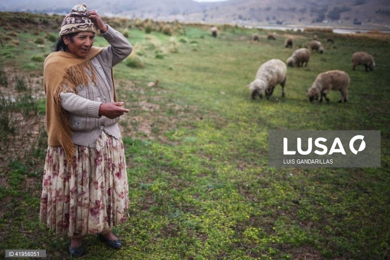 Bolívia: Seca no Lago Titicaca
