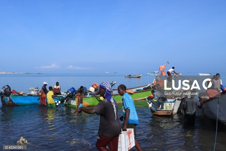 Somália: Bosaso regista um crescimento rápido