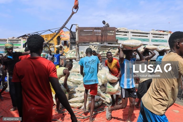 Somália: Bosaso regista um crescimento rápido