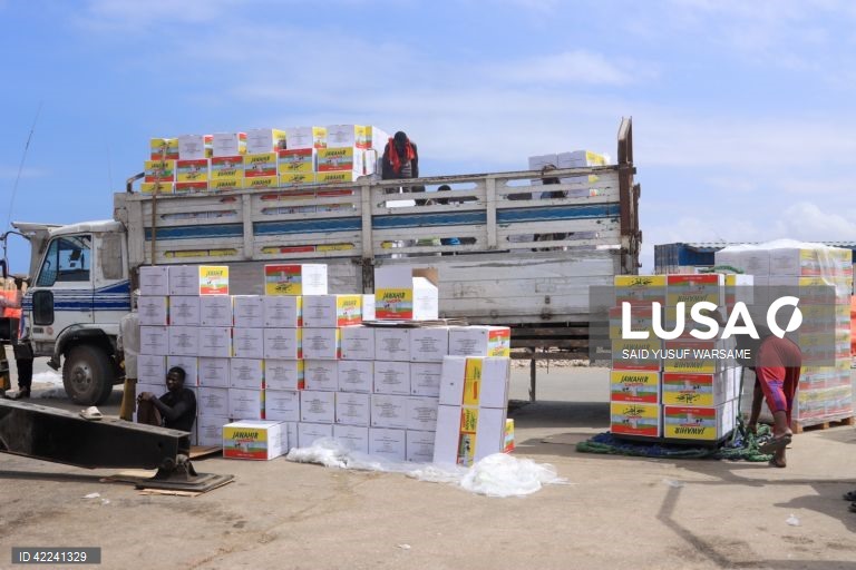 Somália: Bosaso regista um crescimento rápido