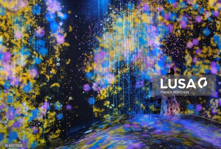 Japão: Apresentação do "teamLab Borderless" em Tóquio