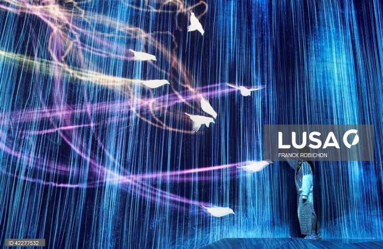 Japão: Apresentação do "teamLab Borderless" em Tóquio