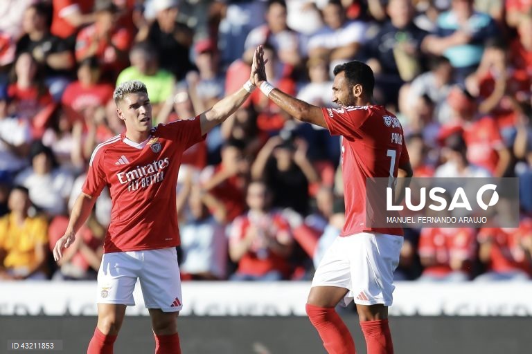 Futebol: Benfica vs Celta de Vigo