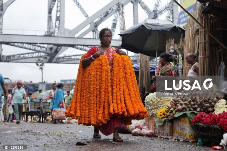 Índia: Mallick Ghat, o mercado de flores mais antigo de Calcutá