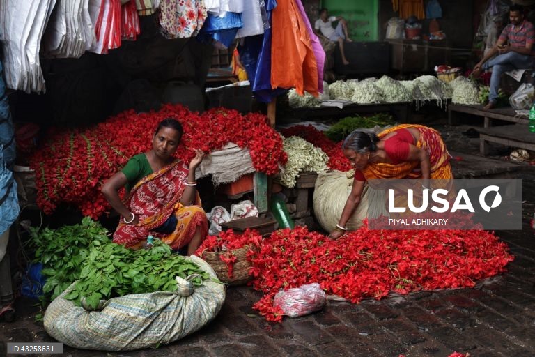 Índia: Mallick Ghat, o mercado de flores mais antigo de Calcutá