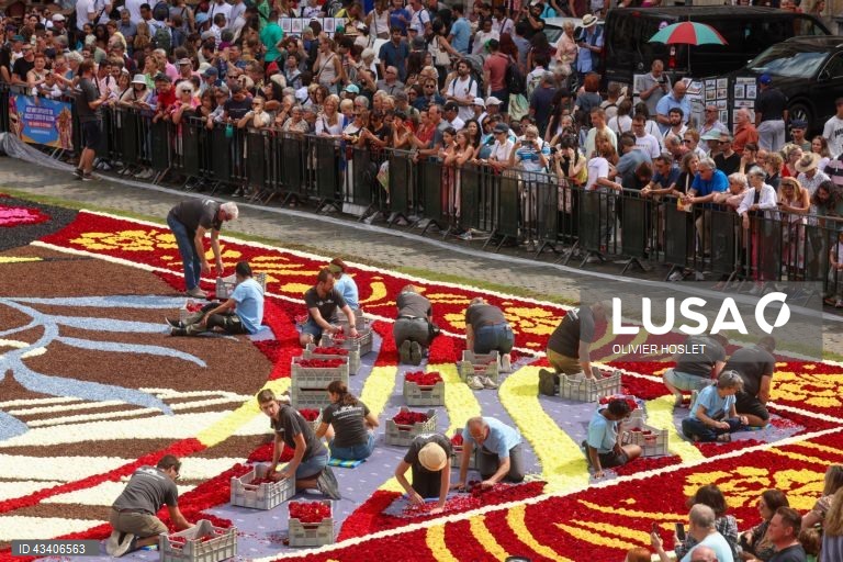 Tapete Floral na Grand-Place em Bruxelas, Bélgica,. De dois em dois anos, a Grand Place, em Bruxelas, é coberta com um tapete de begónias. O tapete de 70m x 24m é feito por 120 voluntários, utilizando quase 1 milhão de flores em menos de 4 horas. 