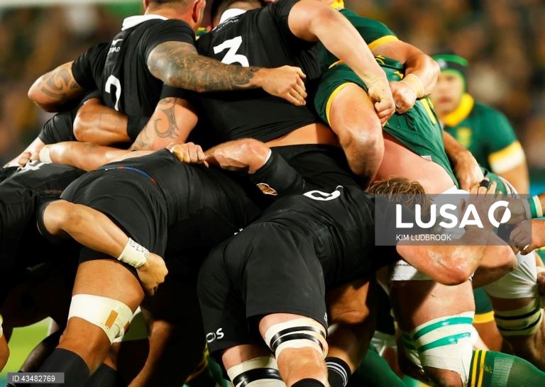 África do Sul: África do Sul vs Nova Zelândia