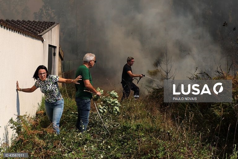 Durante o dia de hoje, a Autoridade Nacional de Emergência e Proteção Civil (ANEPC) registou mais de 120 fogos, que chegaram a ser combatidos por mais de 5.000 operacionais, apoiados por 1.500 viaturas e 39 meios aéreos, dois deles vindos de Espanha. 