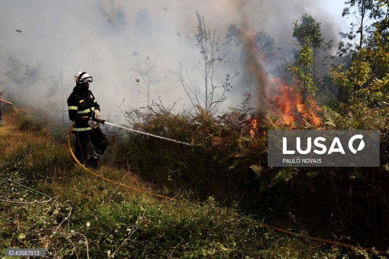 Durante o dia de hoje, a Autoridade Nacional de Emergência e Proteção Civil (ANEPC) registou mais de 120 fogos, que chegaram a ser combatidos por mais de 5.000 operacionais, apoiados por 1.500 viaturas e 39 meios aéreos, dois deles vindos de Espanha. 