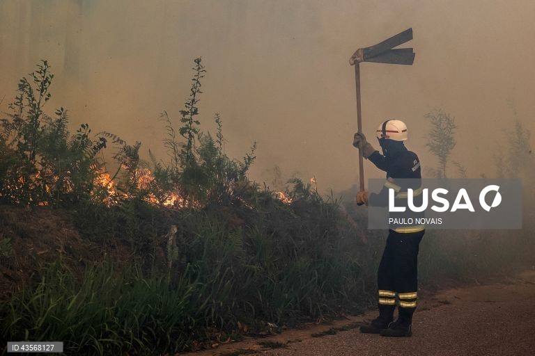 Durante o dia de hoje, a Autoridade Nacional de Emergência e Proteção Civil (ANEPC) registou mais de 120 fogos, que chegaram a ser combatidos por mais de 5.000 operacionais, apoiados por 1.500 viaturas e 39 meios aéreos, dois deles vindos de Espanha. 