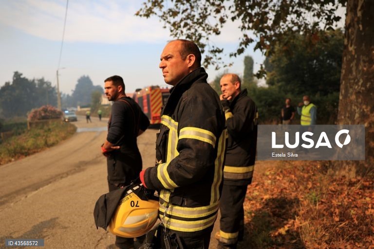 Durante o dia de hoje, a Autoridade Nacional de Emergência e Proteção Civil (ANEPC) registou mais de 120 fogos, que chegaram a ser combatidos por mais de 5.000 operacionais, apoiados por 1.500 viaturas e 39 meios aéreos, dois deles vindos de Espanha. 