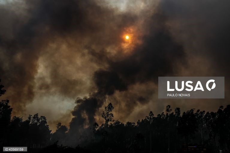 Durante o dia de hoje, a Autoridade Nacional de Emergência e Proteção Civil (ANEPC) registou mais de 120 fogos, que chegaram a ser combatidos por mais de 5.000 operacionais, apoiados por 1.500 viaturas e 39 meios aéreos, dois deles vindos de Espanha. 