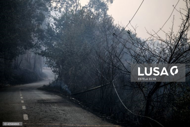 Durante o dia de hoje, a Autoridade Nacional de Emergência e Proteção Civil (ANEPC) registou mais de 120 fogos, que chegaram a ser combatidos por mais de 5.000 operacionais, apoiados por 1.500 viaturas e 39 meios aéreos, dois deles vindos de Espanha. 