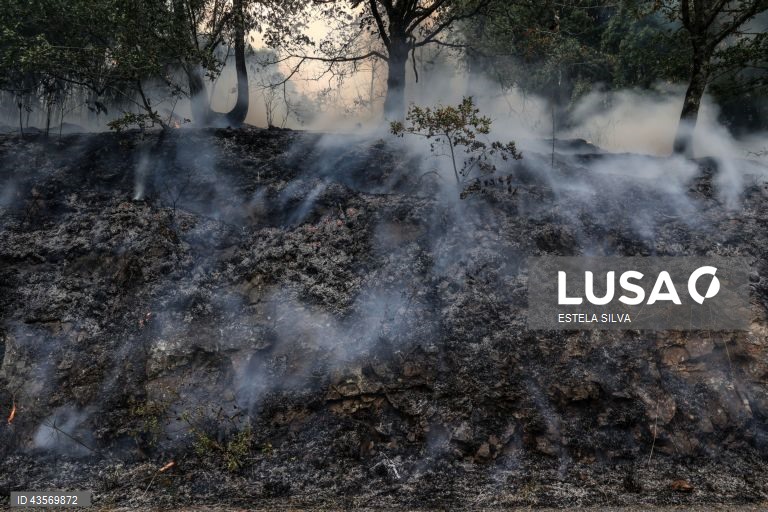 Durante o dia de hoje, a Autoridade Nacional de Emergência e Proteção Civil (ANEPC) registou mais de 120 fogos, que chegaram a ser combatidos por mais de 5.000 operacionais, apoiados por 1.500 viaturas e 39 meios aéreos, dois deles vindos de Espanha. 