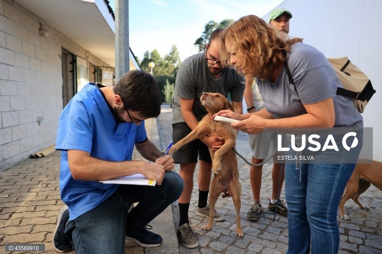 Durante o dia de hoje, a Autoridade Nacional de Emergência e Proteção Civil (ANEPC) registou mais de 120 fogos, que chegaram a ser combatidos por mais de 5.000 operacionais, apoiados por 1.500 viaturas e 39 meios aéreos, dois deles vindos de Espanha. 