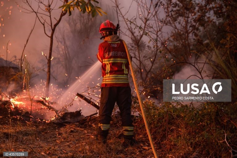 Durante o dia de hoje, a Autoridade Nacional de Emergência e Proteção Civil (ANEPC) registou mais de 120 fogos, que chegaram a ser combatidos por mais de 5.000 operacionais, apoiados por 1.500 viaturas e 39 meios aéreos, dois deles vindos de Espanha. 