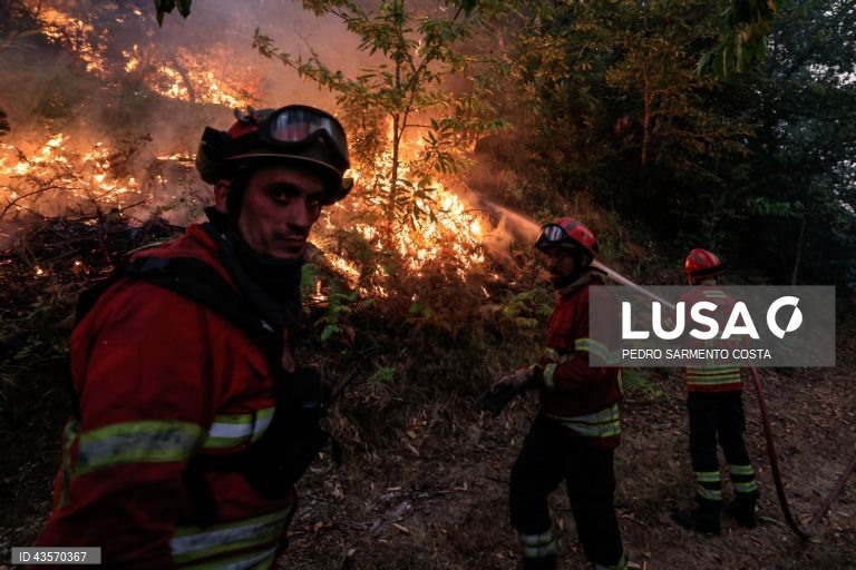 Durante o dia de hoje, a Autoridade Nacional de Emergência e Proteção Civil (ANEPC) registou mais de 120 fogos, que chegaram a ser combatidos por mais de 5.000 operacionais, apoiados por 1.500 viaturas e 39 meios aéreos, dois deles vindos de Espanha. 