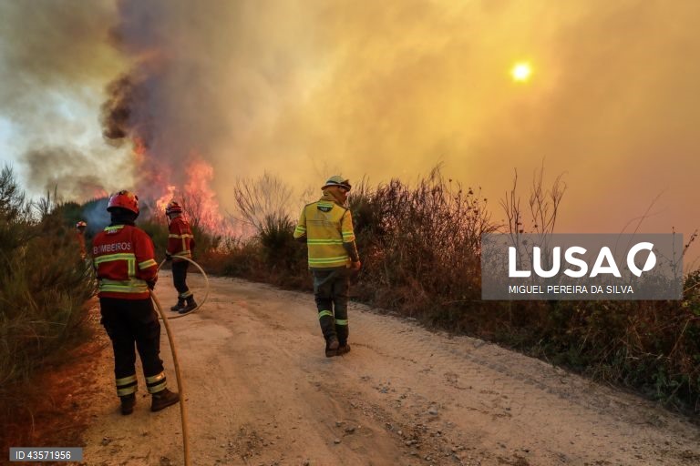 Incêndios em Portugal