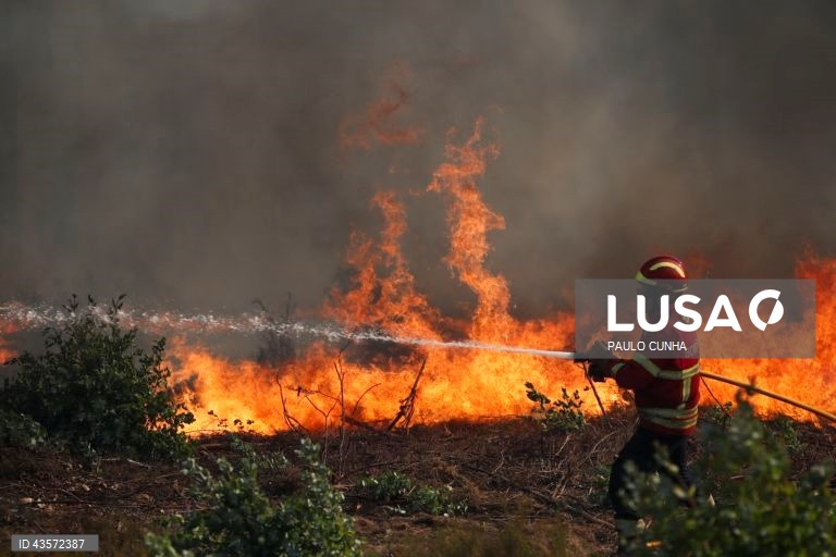 Incêndios em Portugal