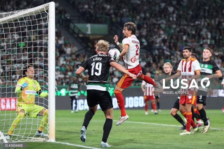 O Sporting manteve hoje três pontos de vantagem sobre o FC Porto, ao vencer em casa ao AVS, por 3-0, em jogo da sexta jornada da I Liga portuguesa de futebol.