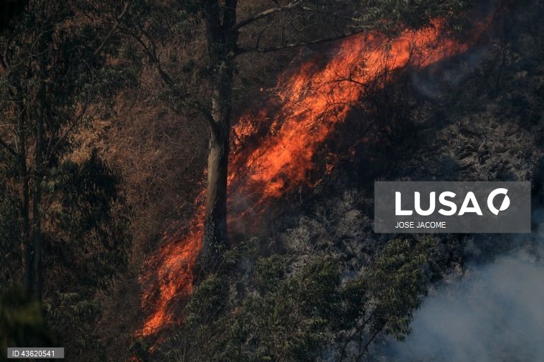 Equador: Vários incêndios florestais nas zonas circundantes de Quito