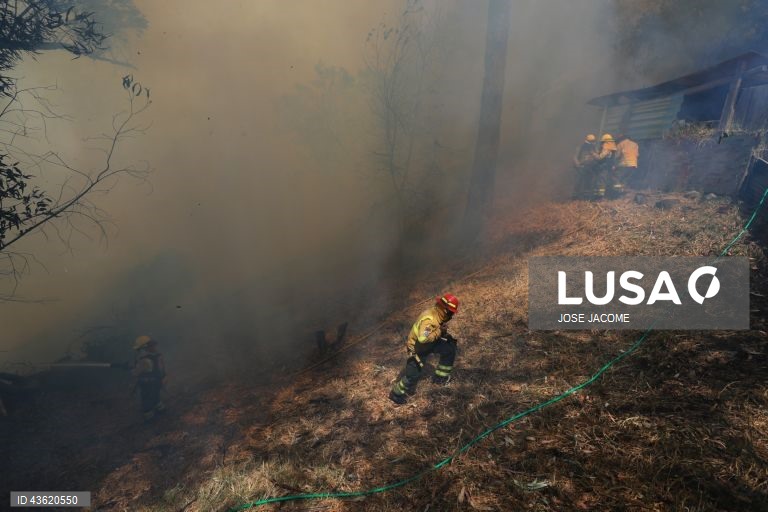 Equador: Vários incêndios florestais nas zonas circundantes de Quito