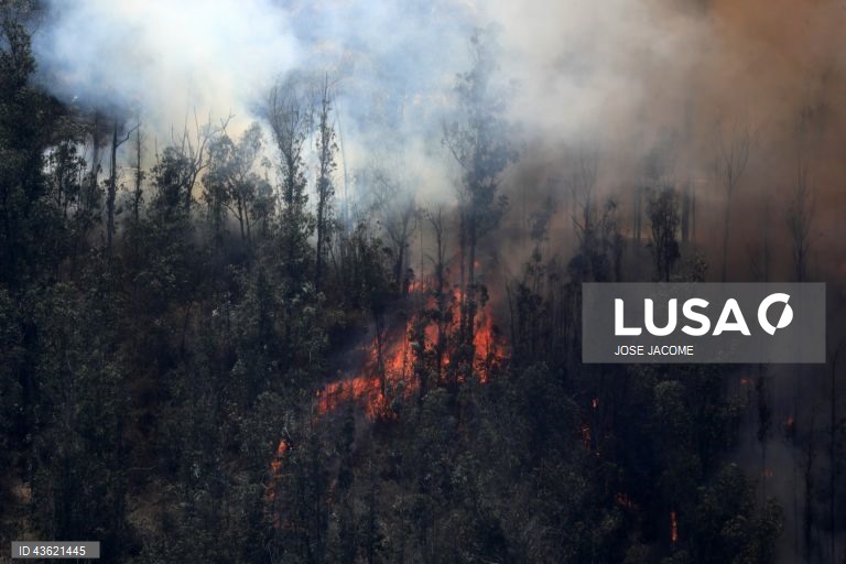 Equador: Vários incêndios florestais nas zonas circundantes de Quito
