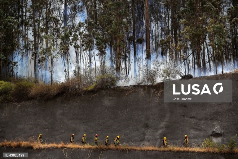 Equador: Vários incêndios florestais nas zonas circundantes de Quito