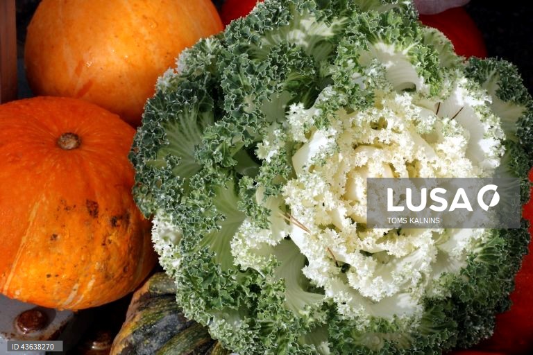 Letónia: Feira Tradicional Mikeldiena em Riga